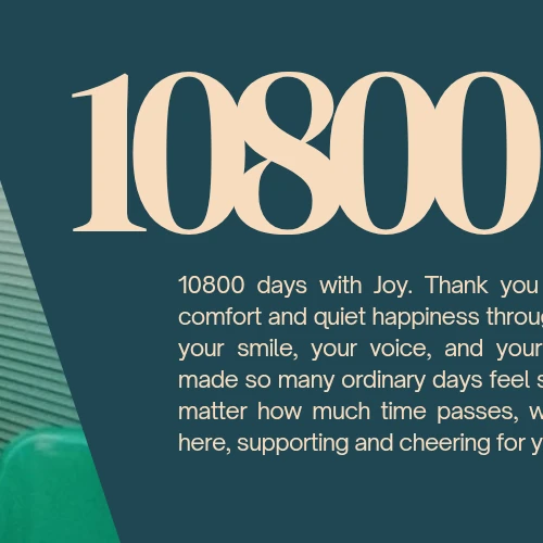 팬들이 뽑은 박수영 (조이) 최고의 순간