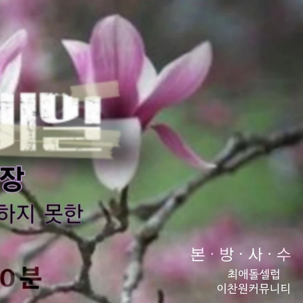 粉丝选出的李灿元最佳瞬间