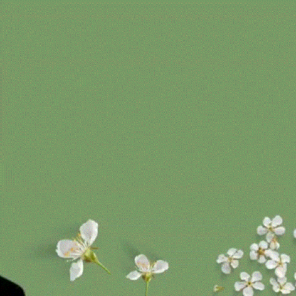 充滿粉絲愛的路雲人氣照片