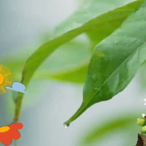 今天最受喜爱的金浩中模样