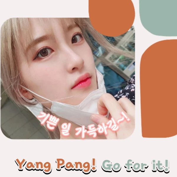 ファンが選んだヤンパンの最高の瞬間