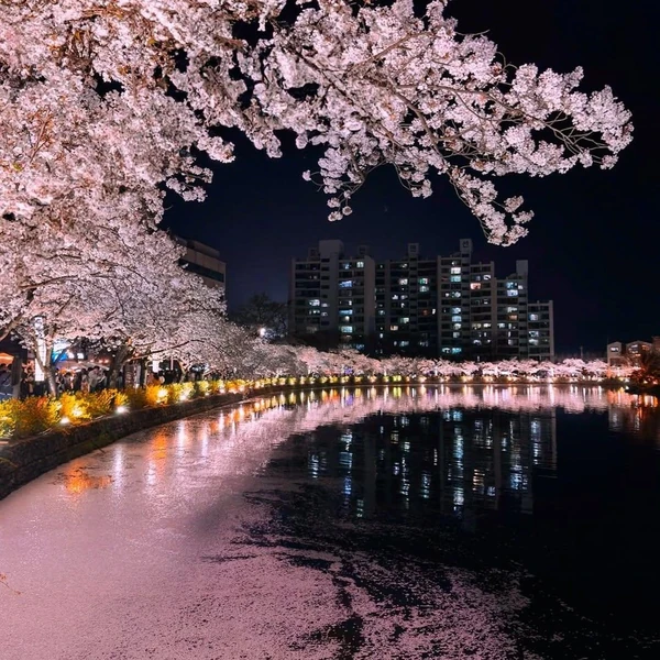 Top moment of Chae Yoon chosen by fans