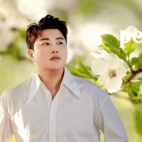 今天最受喜爱的金浩中模样