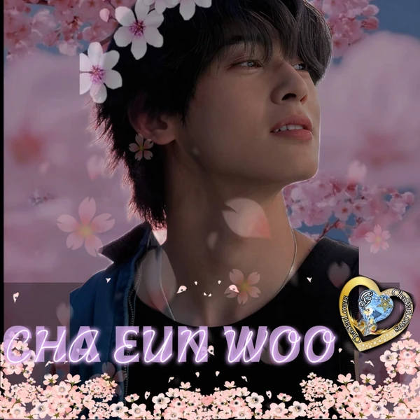 粉丝选出的车银优最佳瞬间