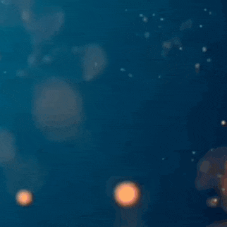 粉絲選出的金宣虎最佳時刻