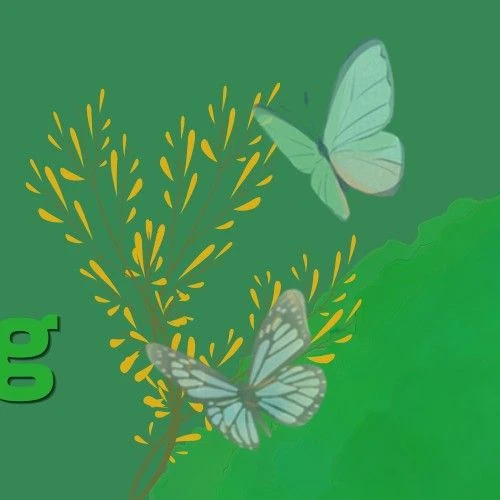 Top moment of Park Boyoung chosen by fans