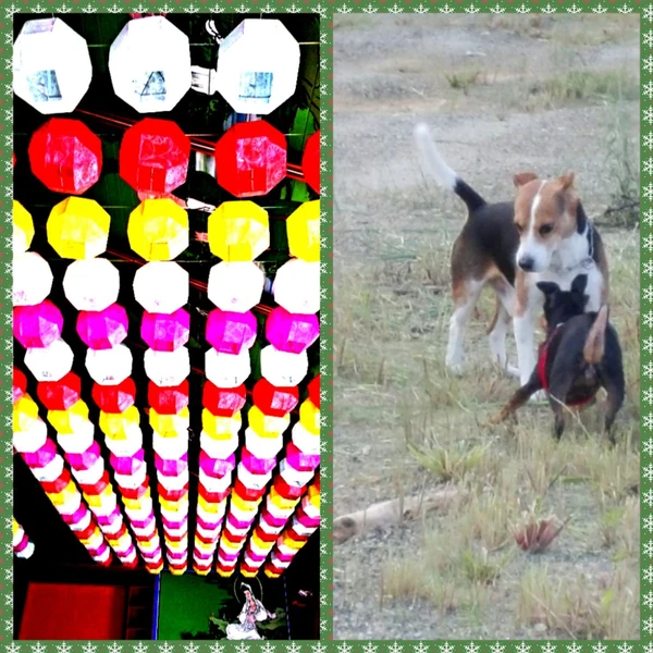 오늘 가장 사랑받은 박서진의 모습