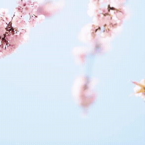 Top moment of Kim Seonho chosen by fans