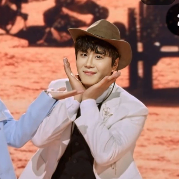 今天最受喜爱的晋海成模样