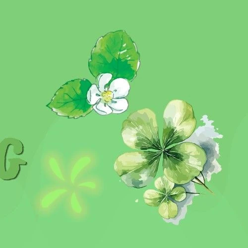 今天最受喜愛的朴寶英模樣