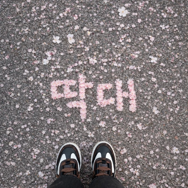 The most loved look of Kang Minsoo today