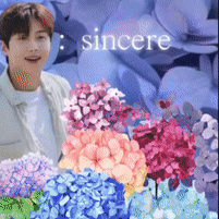 A brilliant moment of Kim Seonho created by the fandom