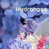 오늘 가장 사랑받은 김선호의 모습