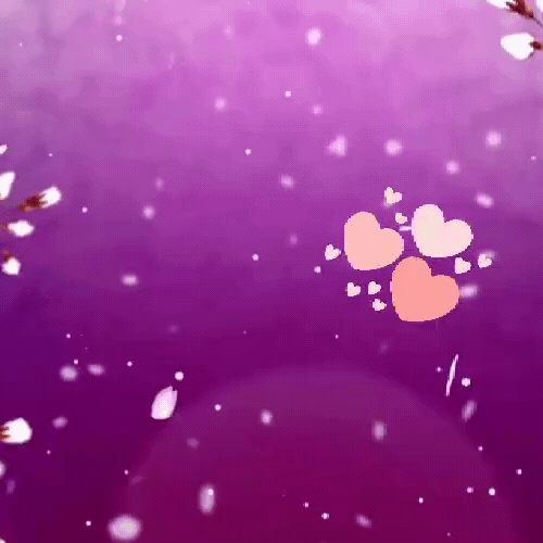 今天最受喜爱的金浩中模样