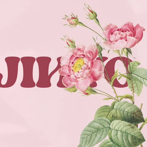 粉丝选出的宋智孝最佳瞬间