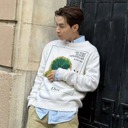 今天最受喜愛的劉憲華模樣