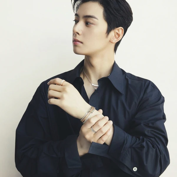 Top moment of Cha Eunwoo chosen by fans