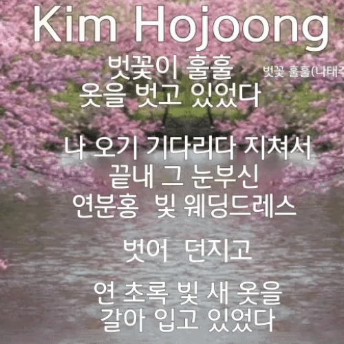 Momen terbaik Kim Hojoong pilihan penggemar