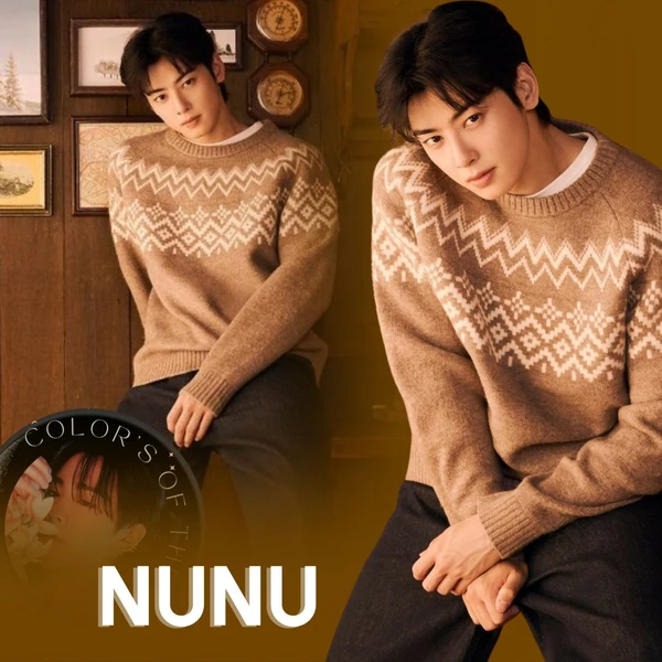 粉丝选出的车银优最佳瞬间