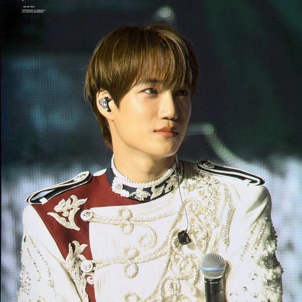 Popular photo full of fans’ love for KAI