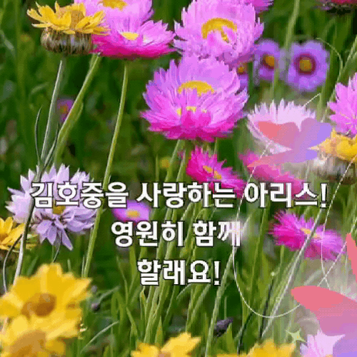 今天最受喜爱的金浩中模样