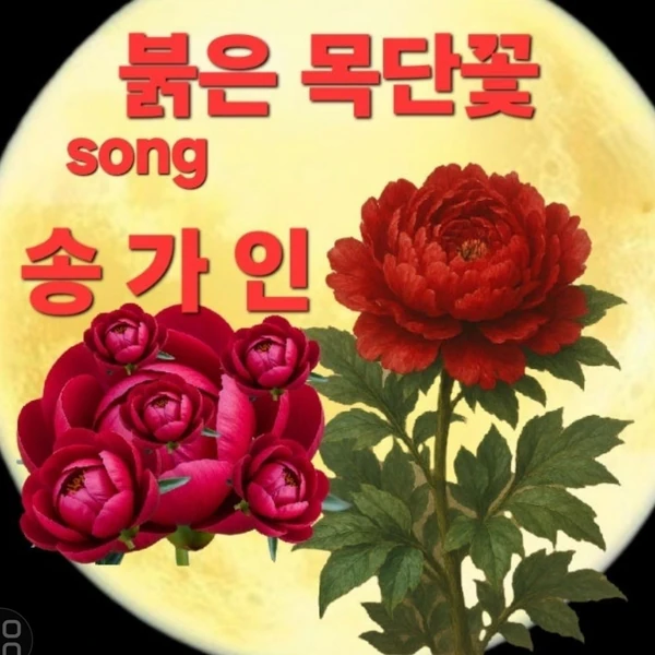 오늘 가장 사랑받은 송가인의 모습