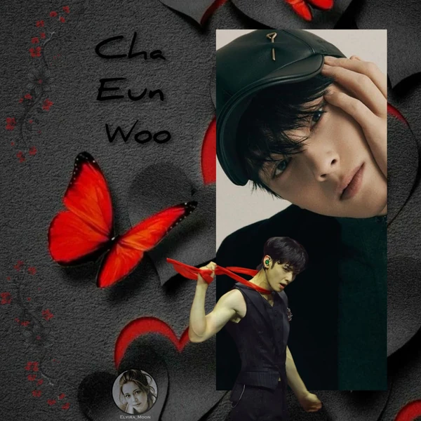 チャ・ウヌへのファンの愛が詰まった人気写真