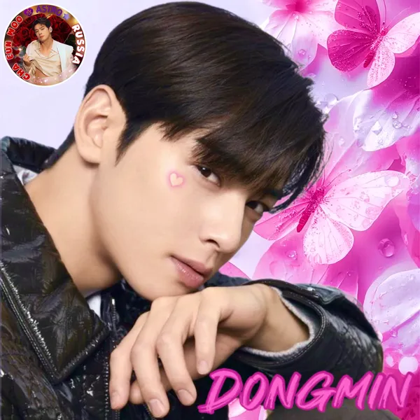 粉丝选出的车银优最佳瞬间