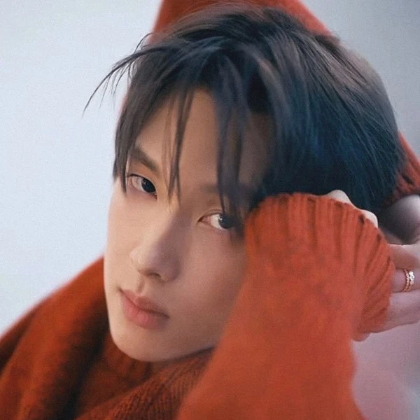 Foto populer Yim Siwan yang penuh cinta dari penggemar