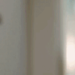 粉絲選出的宋智孝最佳時刻