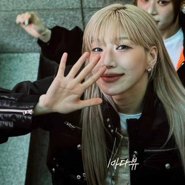 今天最受喜愛的BADA模樣