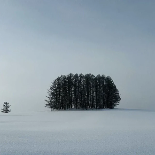 Momen terbaik Doh Kyungsoo (D.O.) pilihan penggemar
