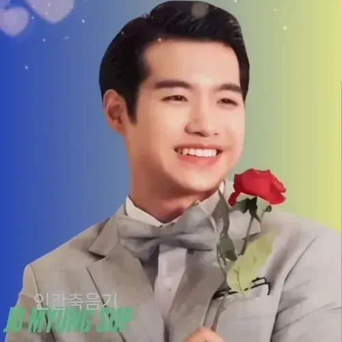 充满粉丝爱意的赵明燮人气照片