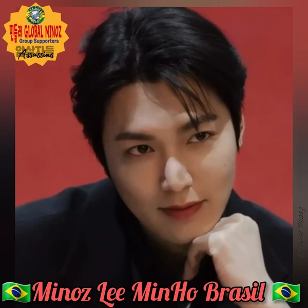 粉丝选出的李敏镐最佳瞬间