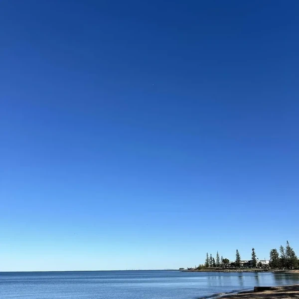 오늘 가장 사랑받은 장혜리의 모습