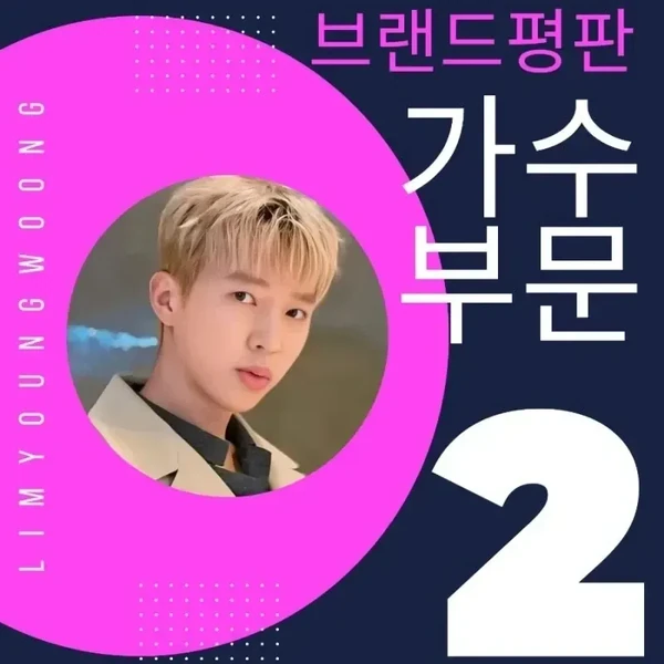 粉絲選出的林英雄最佳時刻