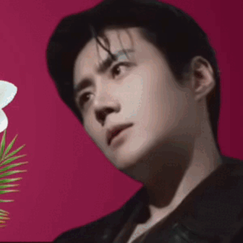 Top moment of Kim Seonho chosen by fans