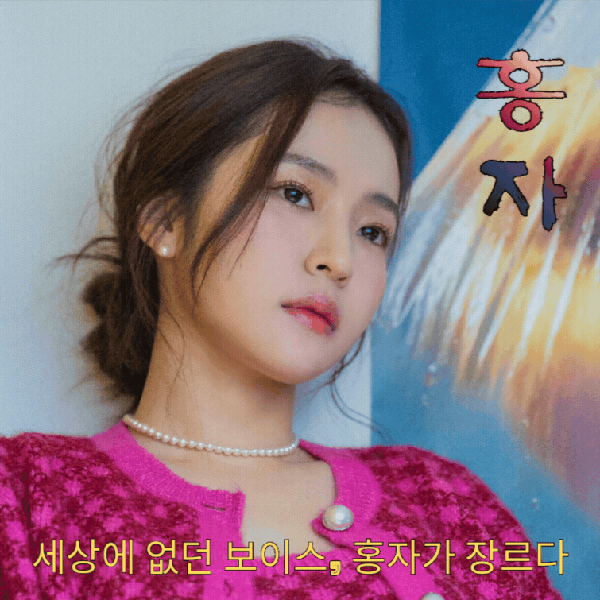 홍자 팬심 가득한 인기 사진