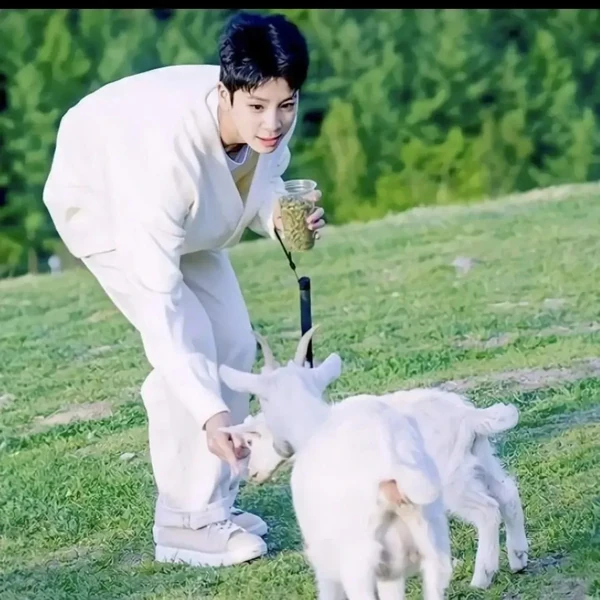 今天最受喜爱的郑东元模样