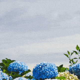 김선호 팬심 가득한 인기 사진