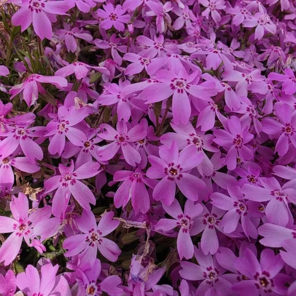 Popular photo full of fans’ love for Jin Haesung