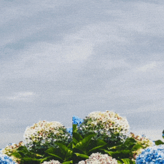 充满粉丝爱意的金宣虎人气照片