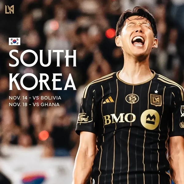 粉丝团选出的Son Heungmin最佳瞬间
