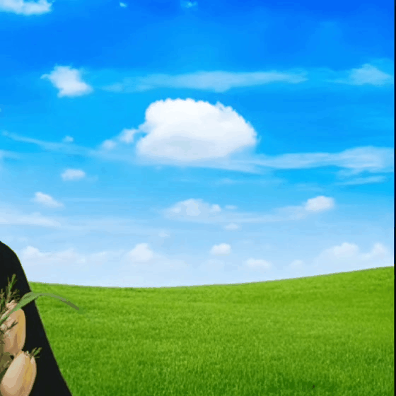 idolBanner