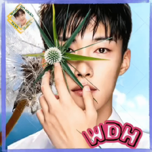 detailBanner
