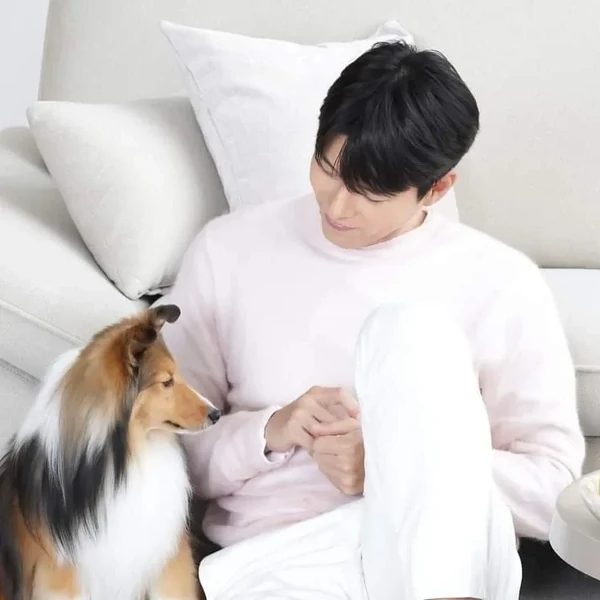 팬들이 뽑은 현빈 최고의 순간