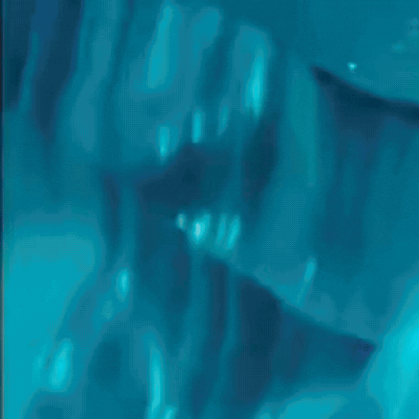 detailBanner