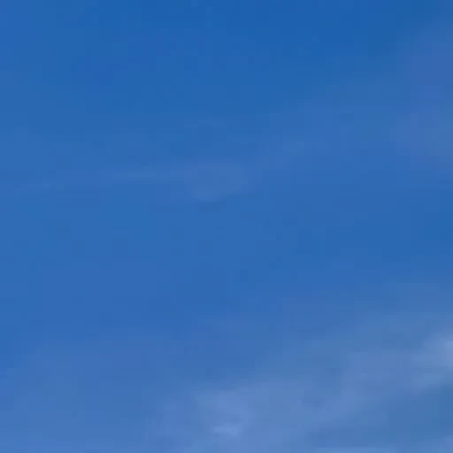 detailBanner
