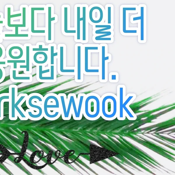 充滿粉絲愛的Park Sewook人氣照片
