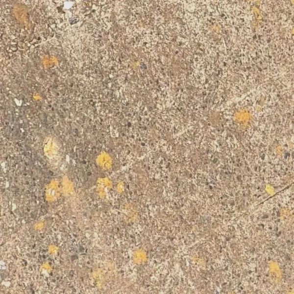 detailBanner
